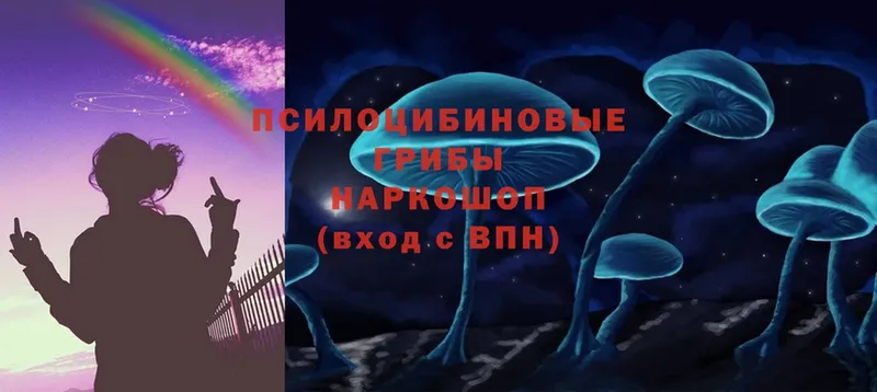 Галлюциногенные грибы Psilocybine cubensis  Алапаевск 